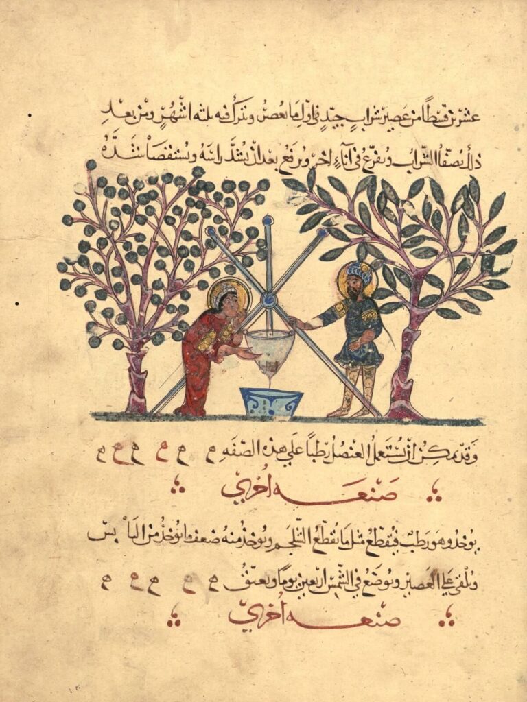 Single leaf from the Arabic version of Dioscorides’ De materia medica, copied in 621 AH / 1224 CE in Baghdad and removed from the original manuscript – Aya Sofya 3703 – probably in the late 19th or early 20th century. Around 30 illustrations were removed from this manuscript that are now in public and private collections. Walters Art Museum.