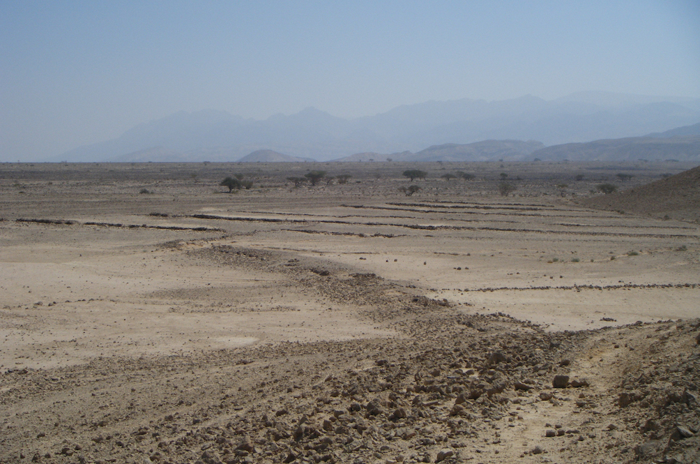 Fig. 3: Ancient field system near the site of Bir Madhkur, Jordan. Photo by J. Ramsay.