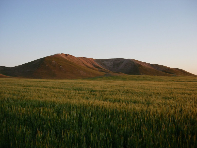 Cultivated fields at the foot of the site of Tell Brak, photo taken in 2007. A.Sołtysiak published under CC BY-NC-SA