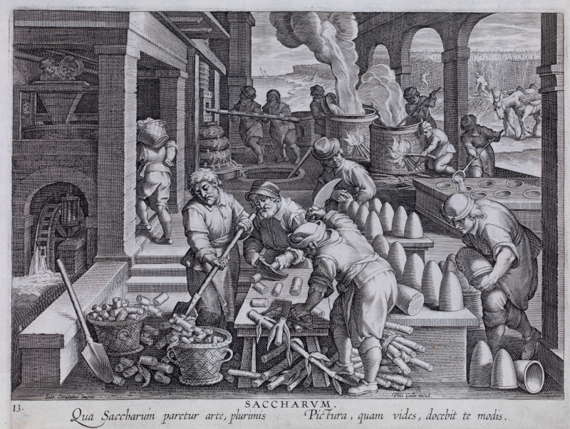 Sugar making in Sicily. From an engraving by Filippo Galle Harlem (1537-1612) reproducing a drawing by the painter Giovanni Stradano (Hans von der Straat) of Bruges (1636-1605). © The Trustees of the British Museum.