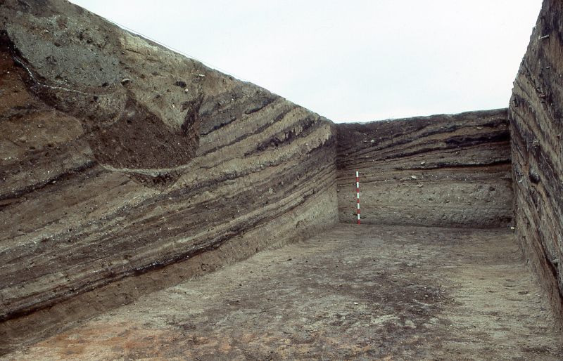 Ash layers at Tell Abu Sarbut. From Steiner 2008, Fig. 9.