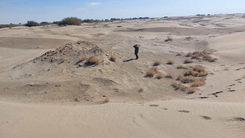 Archaeological sites buried by sand dunes should be prioritized for excavation and survey by international teams. Photo by Jaafar Jotheri 2022, Nasiriyah, southern Iraq.