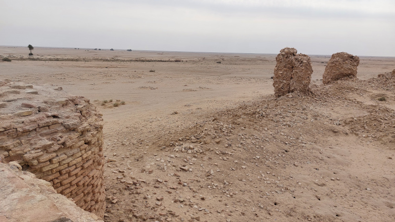 The western Iraqi desert has not been surveyed by international teams. However, it contains many archaeological sites from the Stone Age until the Islamic period. Photo by Jaafar Jotheri 2022, Samawa western desert.