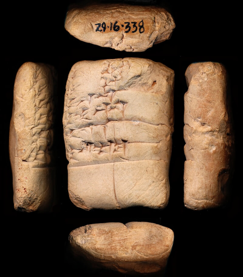 Cuneiform tablet with oldest mention of a camel as anše a.ab.ba “donkey of the Sea[land]”. Object UM 29-16-338. Courtesy of the Penn Museum.