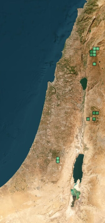 Figure 3. Map of the natural area of distribution of Buglossoides incrassata in the southern Levant – green squares mark locations of the species observation. Image from Danin, A. & O. Fragman-Sapir. 2016+, Flora of Israel and adjacent areas.