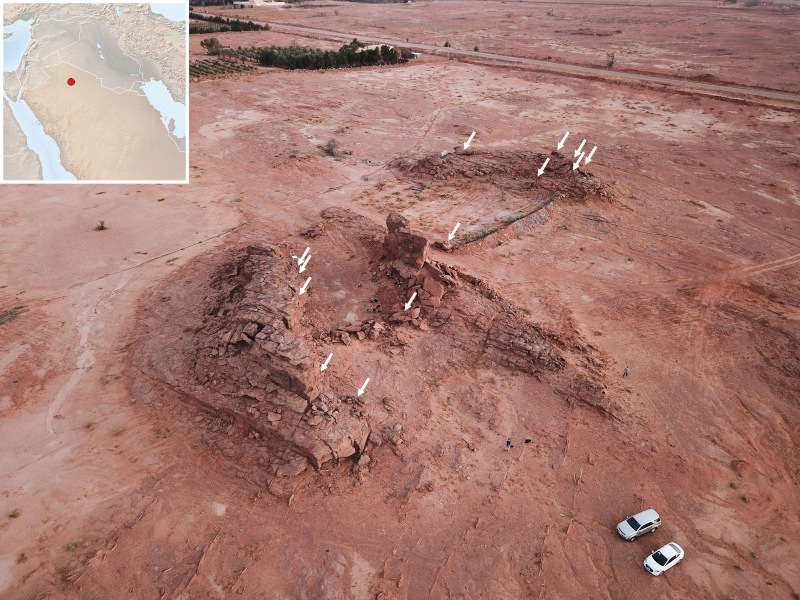 Figure 1. Aerial photo of the Camel Site, with arrows marking the location of panels with life-sized reliefs. © Maria Guagnin and Guillaume Charloux