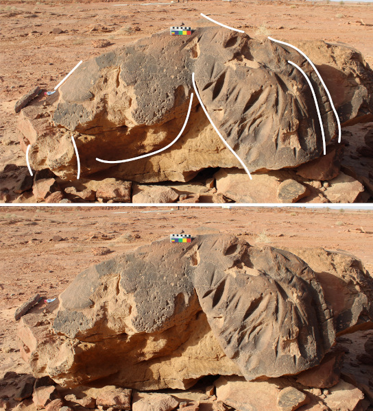 Figure 3. On Panel 1 parts of the body, upper hind leg and tail of a camel, marked with multiple grooves, has survived the fall of the panel from the top of a rock spur. © Maria Guagnin