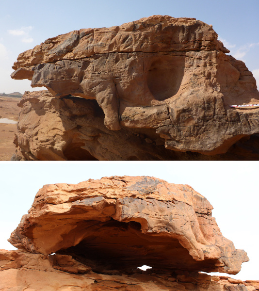 Figure 4. Top: Panel 3, showing the body, front leg and neck of an equid, with the head apparently lowered down as if to graze or drink. Bottom: The rock surface of Panel 3 has been preserved due to case hardening, but the interior of the boulder has been hollowed out and the panel will likely fall in the near future. © Guillaume Charloux and Maria Guagnin