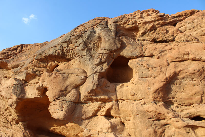 Figure 5. Panel 2 showing a camel (left) and a young equid (right) nose to nose. On the head of the camel the nostril and lips have been preserved, showing extraordinary attention to detail. The bulging neckline identifies this carving as a male camel in rut. Of the equid on the right only the head is clearly visible, although the shape and outline of the body and front leg are still visible. Around the muzzles of both animals tool marks can still be clearly identified. © Camel Site Archaeological Project