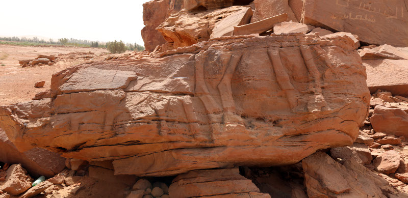 Figure 7. Panel 10 with the legs of two large camels on a boulder that has fallen and landed upside down. The bone structure and ligaments of the legs are clearly depicted. © Camel Site Archaeological Project