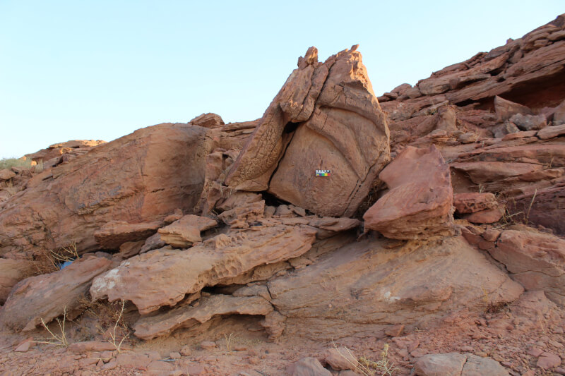 Figure 8. Fragments of Panel 5/6/7, showing the abdomen and hind legs of a camel. The front legs and hump were found on adjacent fragments. © Camel Site Archaeological Project