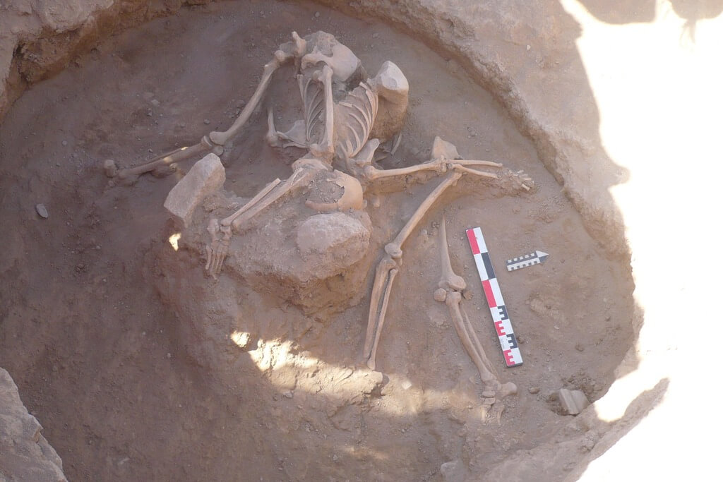 Skeletons being excavated