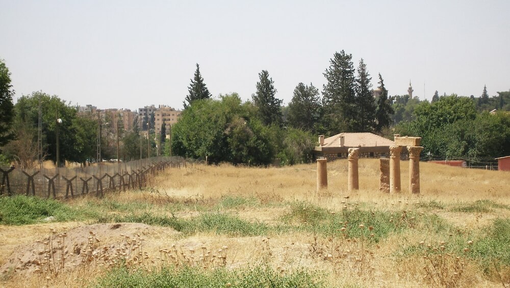 The Corinthian columns in the no man’s land between Syria and Turkey, possibly part of a public building of Roman period Nisibis. Photo by R. Palermo.