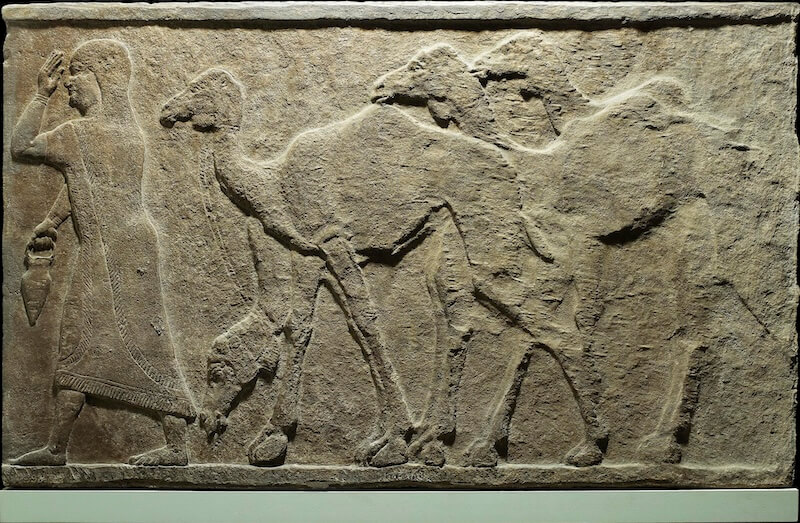 Wall relief depicting a woman (probably Samsi) leading a group of four camels to the Assyrian king, Tiglath-Pileser III. BM 118901. © The Trustees of the British Museum, CC BY-NC-SA 4.0.