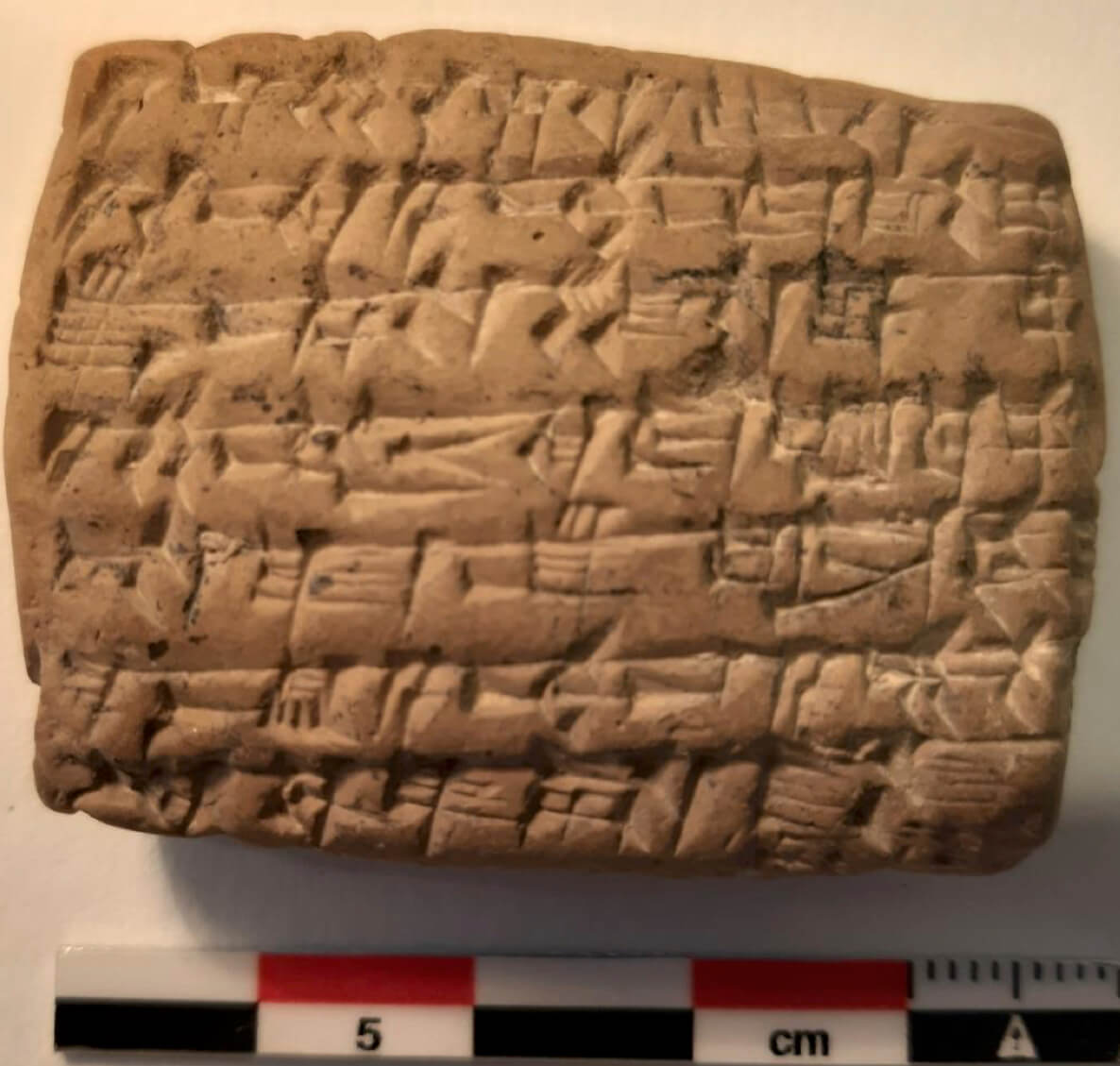 Reverse of the letter sent by Taram-Kubi and Shimat-Assur to their brother Imdi-ilum (no. 252). Musée du Louvre. Photo: Cécile Michel.