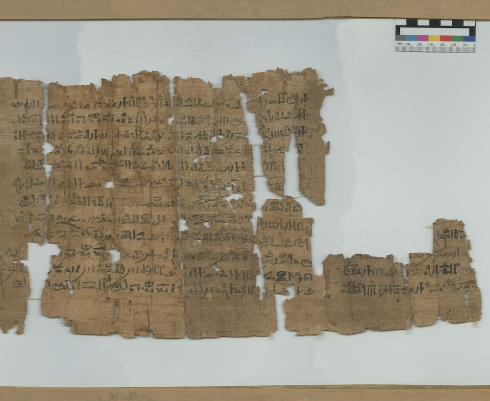 P. Turin 2021 col. I-II., a legal document recording Amenkhau’s union and joint-property arrangement with his new wife Ineksunedjem. Museo Egizio, Torino. CC0.
