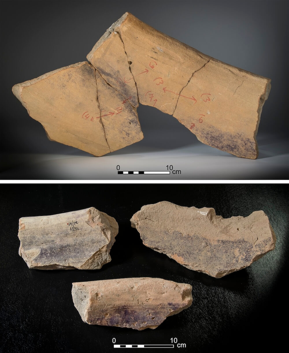 Fragments of vats with short segments of the body with purple dye remains. Photos by Moshe Caine. Image credit: Golan Shalvi et al. (2025), PLOS ONE (Figure 5). Licensed under CC BY 4.0.