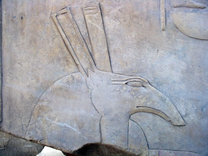 Fragmentary relief depicting the god Seth, from the open-air museum at Karnak. Photo: Dr Amy Calvert. CC By-NC-SA 4.0