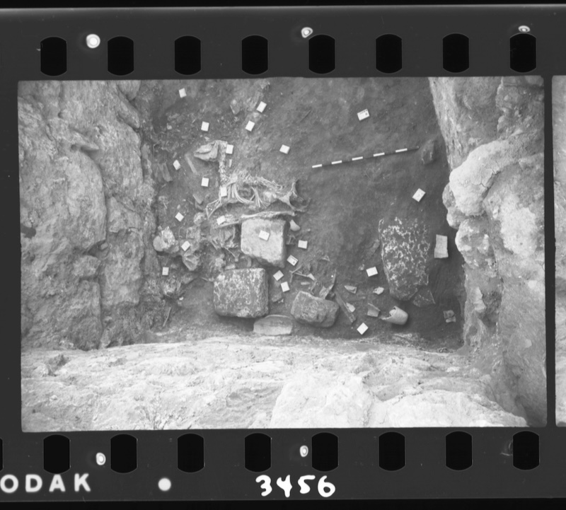 Complete animal skeleton and ivories in the western half of the northern room of the Treasury, looking east. Image courtesy of Eric H. Cline.
