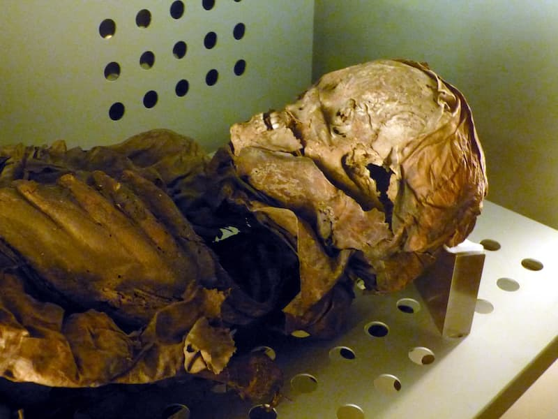 Mummified body. Museo de la Naturaleza y la Arqueología. Tenerife. Photo by Wolfgang Sauber, via Wikimedia Commons, CC By SA 3.0