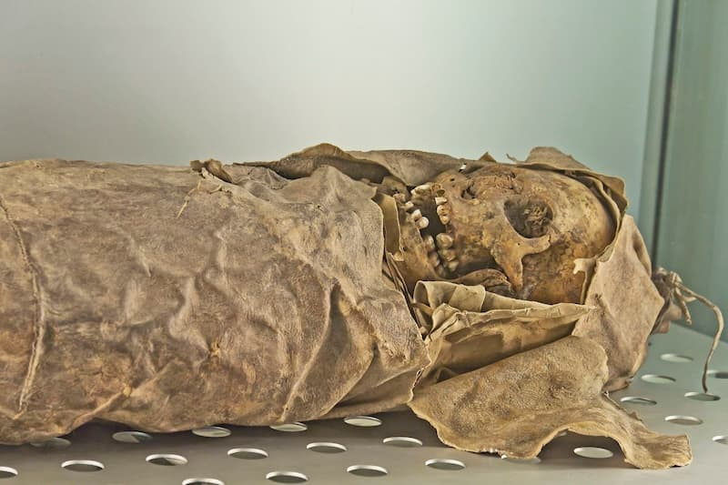 Wrapped skeletal remain. Museo de la Naturaleza y la Arqueología. Tenerife. Photo by Koppchen via Wikimedia Commons, CC By SA 3.0