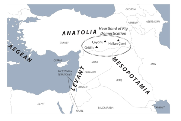 Map of Near East showing center of pig domestication (c. 8000 BCE) and key sites mentioned in text. Map courtesy of author.