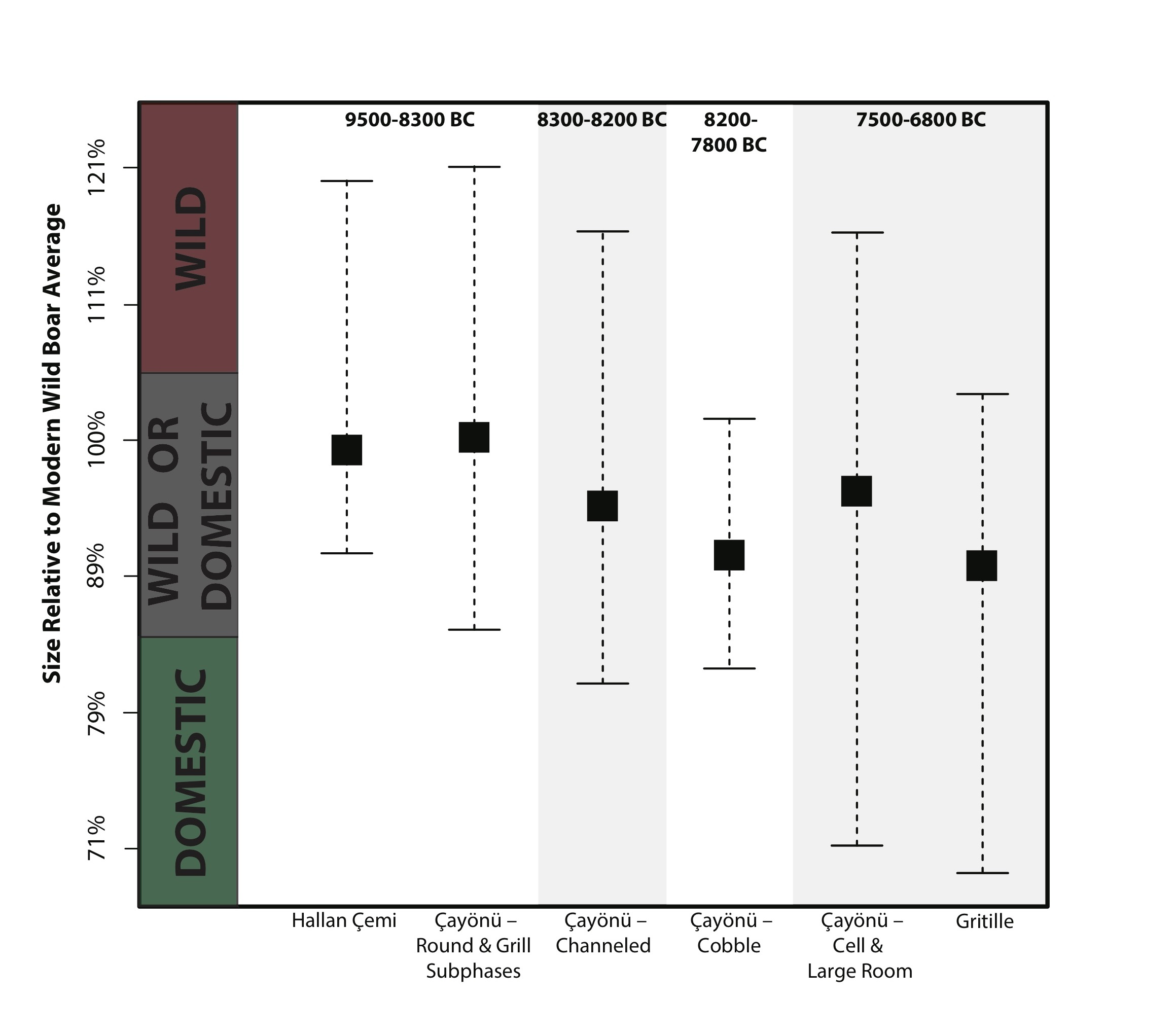 Size decrease in pig teeth during the Neolithic at three archaeological sites. Mean and distribution of measurements are plotted on a logarithmic scale relative to the average size of modern wild boar from Turkey. Bands on the left show typical size ranges for wild and domestic animals. Domestic pigs evolved gradually, with clear evidence for them by 8000-7500 BCE.