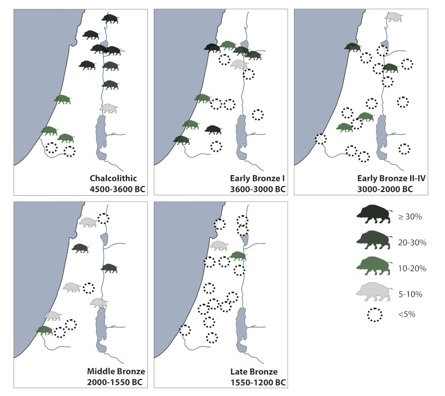 Proportions of pigs in southern Levantine archaeological faunal assemblages from the 5th through 2nd millennia BC. Pigs gradually replaced by sheep, goats, and cattle over the course of the Bronze Age in the Levant.