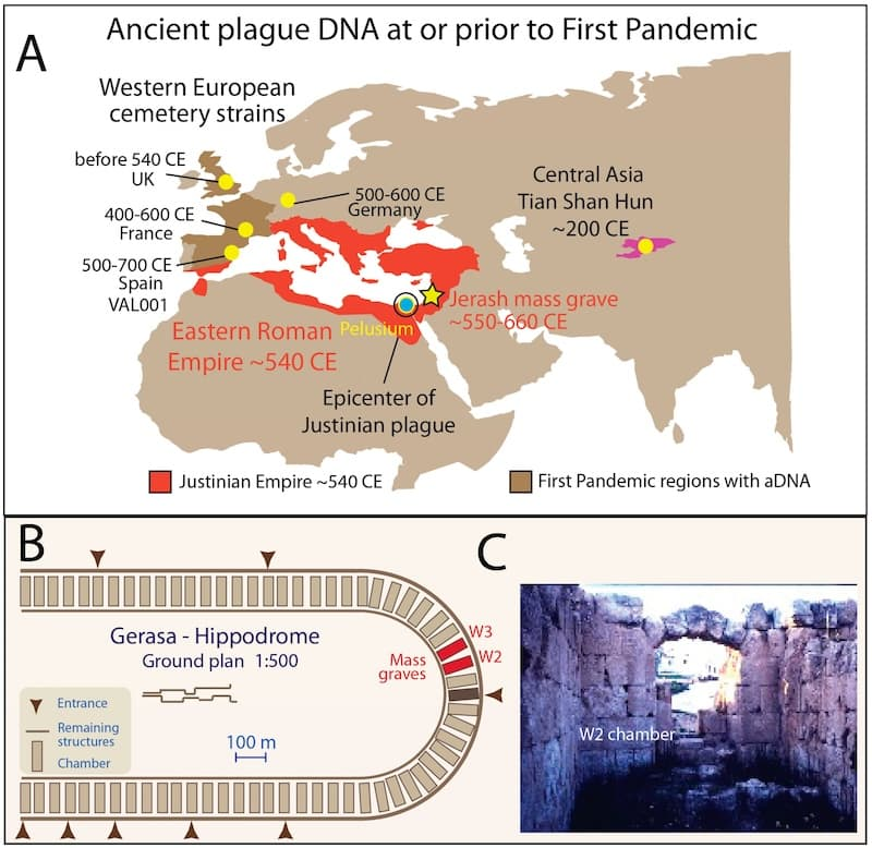 Map of ancient plague DNA and plan/photograph of Credit: Genes (2025). https://doi.org/10.3390/genes16080926