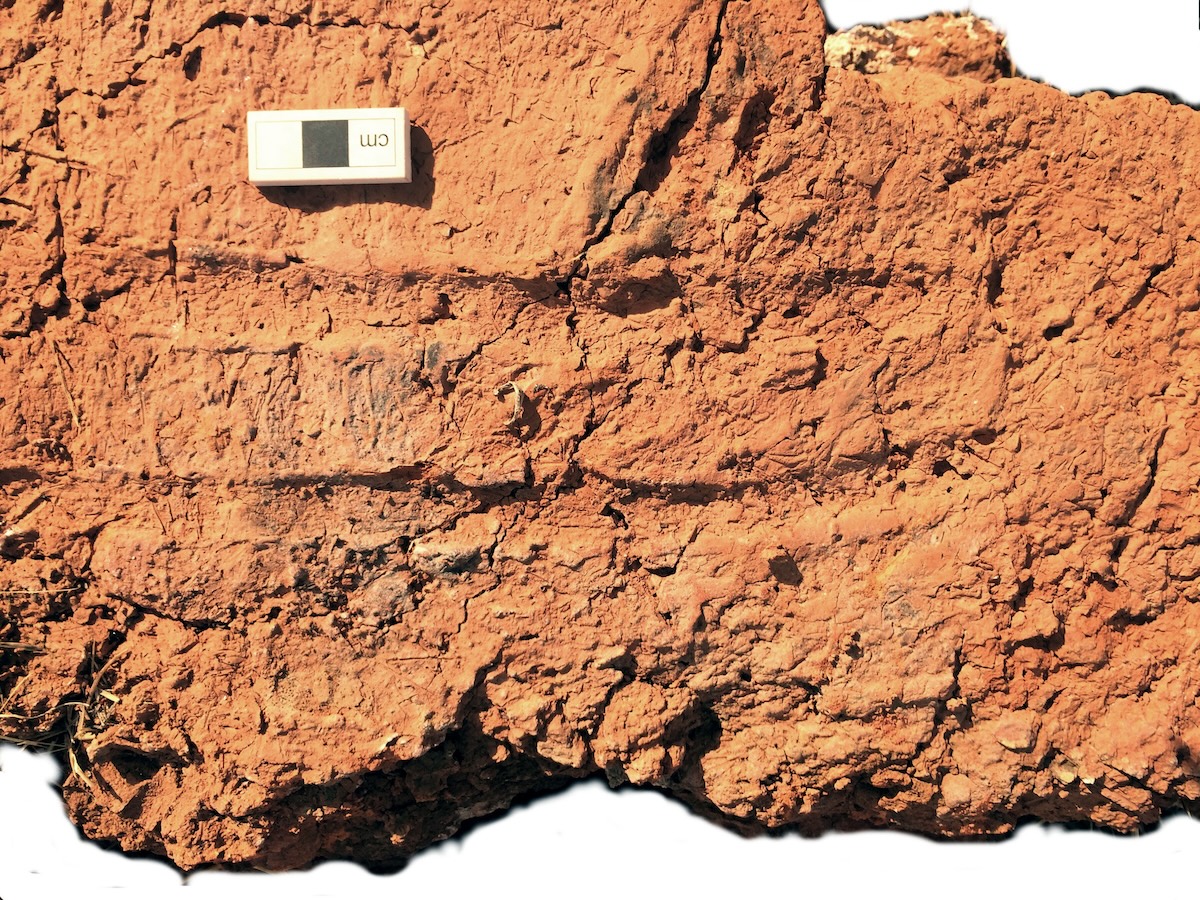 Burned mudbrick from Monastiraki, Crete, with fingerprint impressions. Photo by M. Lorenzon.
