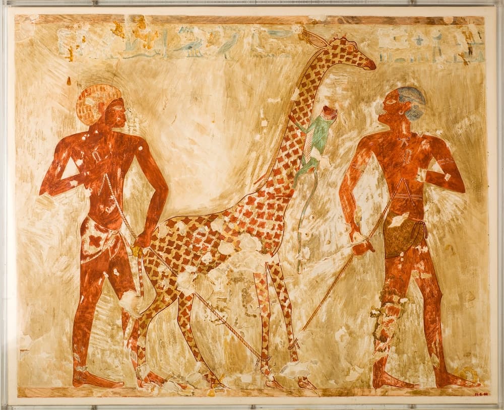 Facsimile of Nubians with a giraffe and a monkey. Nina de Garis Davies (1881–1965). Tempera on paper. Original from Egypt, Thebes, Sheikh Abd el-Qurna, tomb of Rekhmire (TT 100). Original New Kingdom, Dynasty 18 (ca. 1504–1425 BCE). Rogers Fund, 1931. Metropolitan Museum of Art 31.6.40.