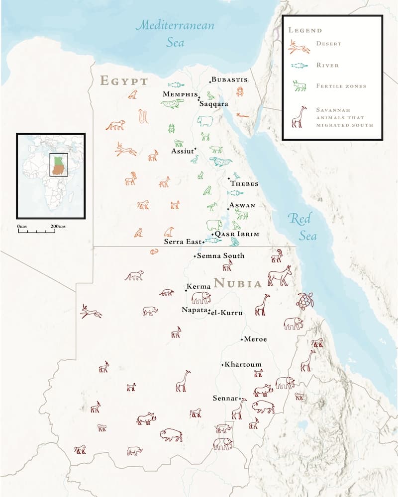 Distribution map showing the distribution of fauna in the Nile Valley.