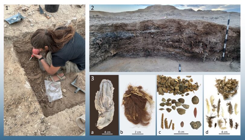 Nahal Omer excavations and finds: (1) Pieces of basketry: material in situ. (2) Section of Nahal Omer trash mound in Area B. (3) Items from Nahal Omer: (a) Shoe leather; (b). Human hair (c) Plant remains. (d) Bird feather.