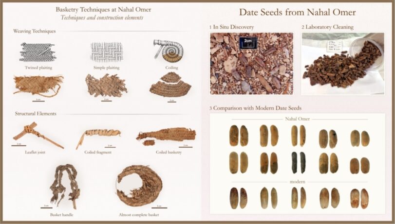 Screenshot of a wall panel in the virtual exhibition: evidence of the date palm economy at Nahal Omer, including basketry techniques and date seeds.
