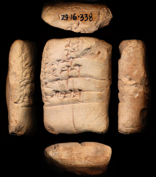 Cuneiform tablet with oldest mention of a camel as anše a.ab.ba “donkey of the Sea[land]”. Object UM 29-16-338. Courtesy of the Penn Museum.