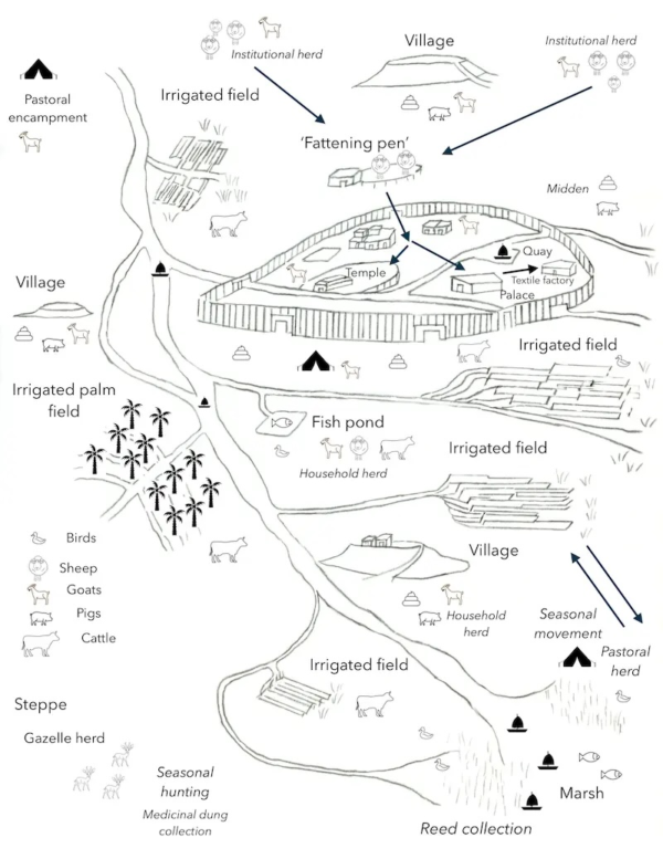 Reconstruction of a Mesopotamian landscape showing areas of agricultural production, animal utilization and potential dung collection. Drawing by Alex Joffe.