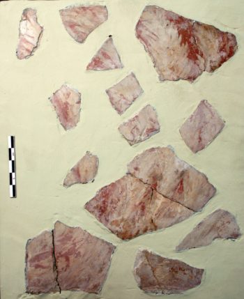 Grass depicted on paintings from Alalakh palace VII. Photo by the author.